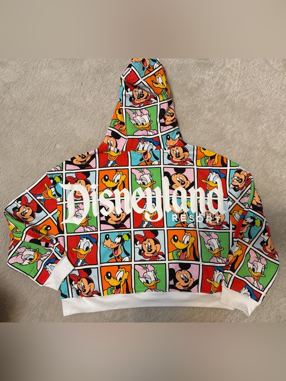 Disneyland Resort Character Cropped Hoodie XL EUC